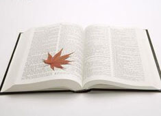 阿森纳球员信心十足，备战顺利